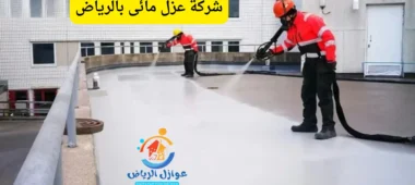 شركة  عزل مائى بالرياض