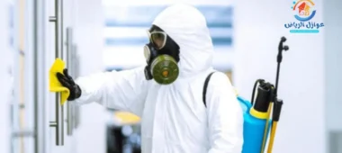 شركة مكافحه حشرات بالرياض