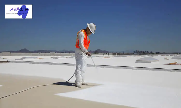 كشف تسربات المياه والعوازل