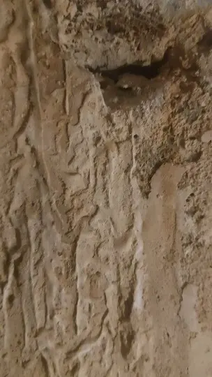 أفضل شركة عوازل